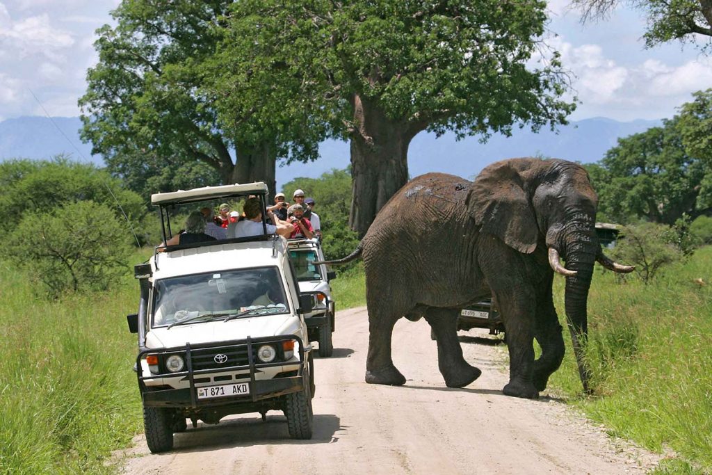 wonder tanzania tours